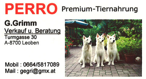 Perro